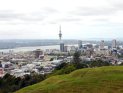 ニュージーランド視察写真